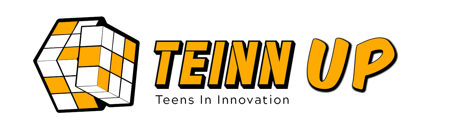 TEINN UP Lise Girişimcilik Programı Logo