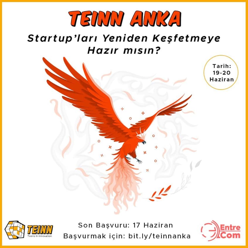 TEINN Anka #1 | Haziran 2021