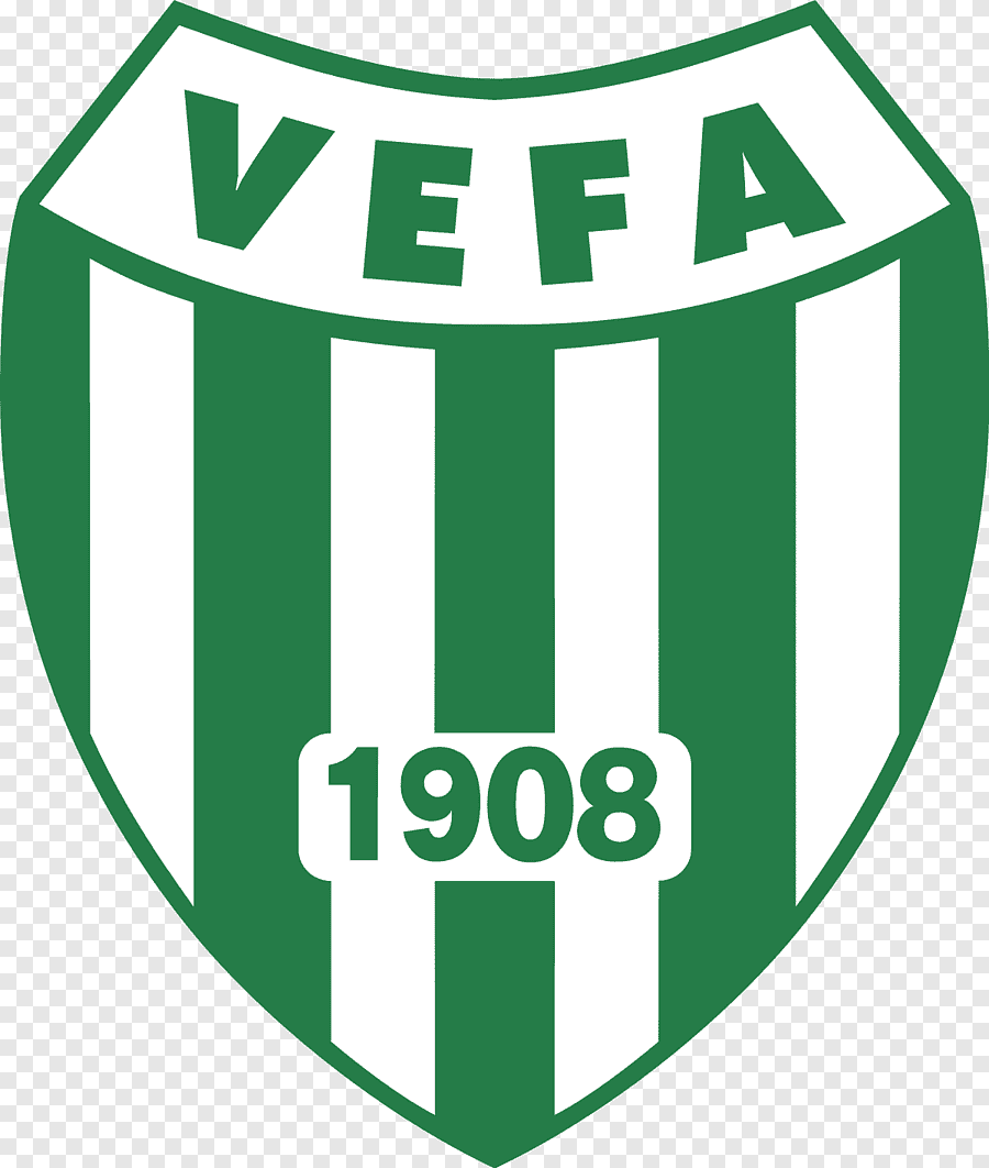 Vefa Lisesi Logo